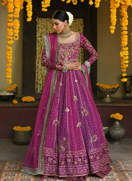 Donna Orchid Purple Kalidaar