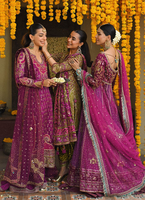 Donna Orchid Purple Kalidaar