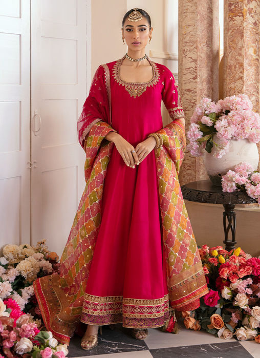 Sitya Kalidaar -  Printed Organza Dupatta Only