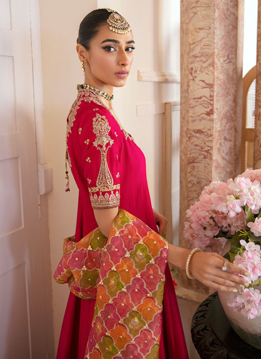 Sitya Kalidaar -  Printed Organza Dupatta Only