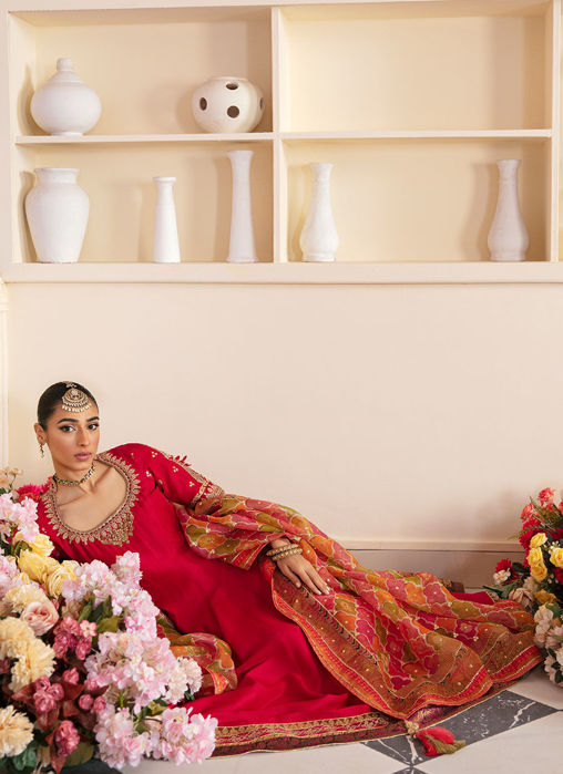 Sitya Kalidaar -  Printed Organza Dupatta Only