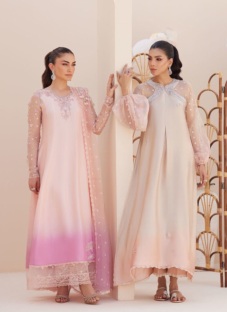 Deedee Pink Ombre Paneled Shirt And Dupatta