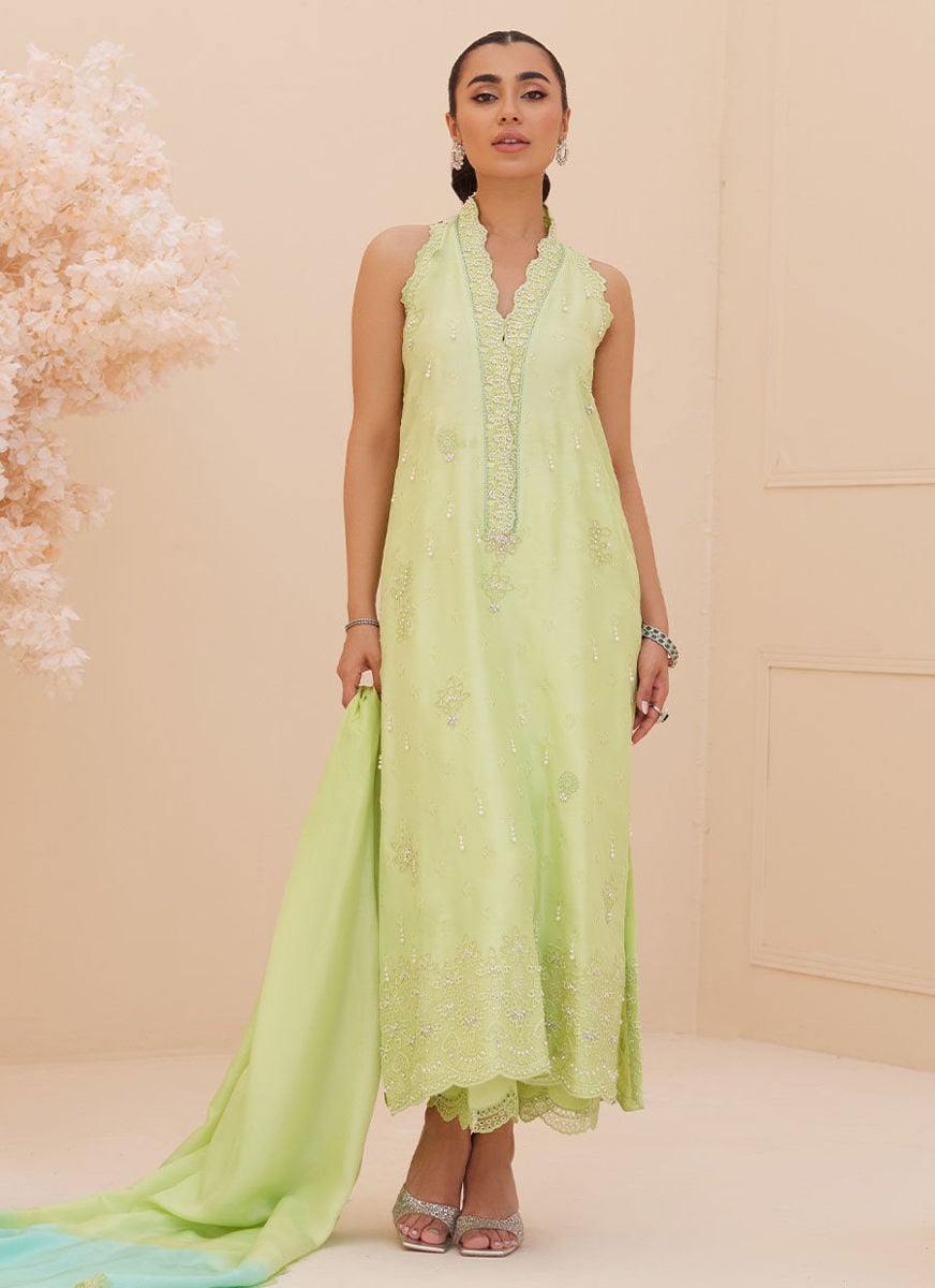 Pia Embroidered Raw Silk Shirt And Dupatta