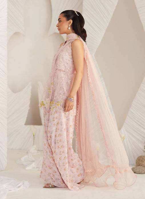 Kyma Blush Organza Jacket And Dupatta