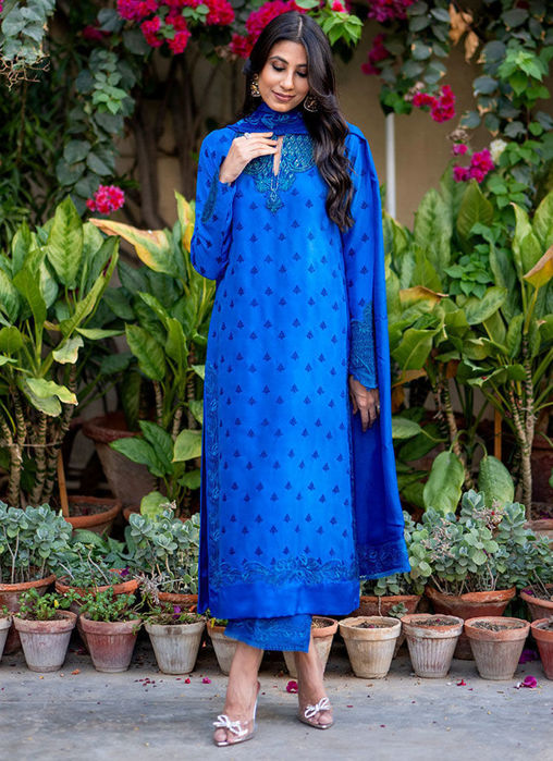 Picture of Faiza Lakhani In Charr Blue