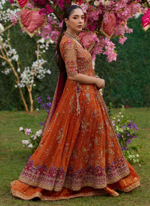 Mireya Burnt Orange Kalidaar