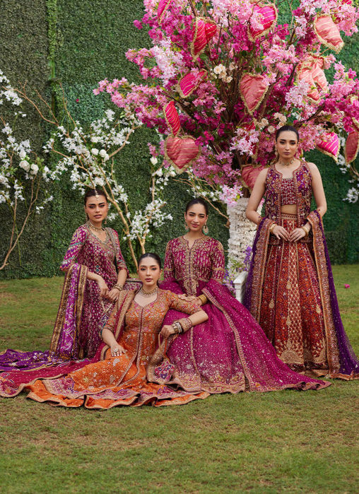 Mireya Burnt Orange Kalidaar