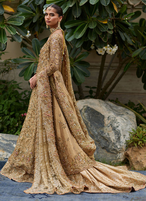 Parizad Gold Bridal