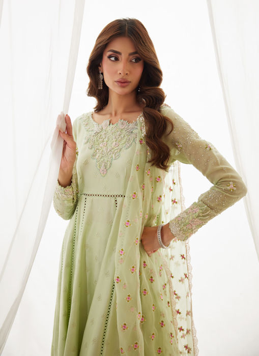 Leni Apple Green Shirt And Dupatta