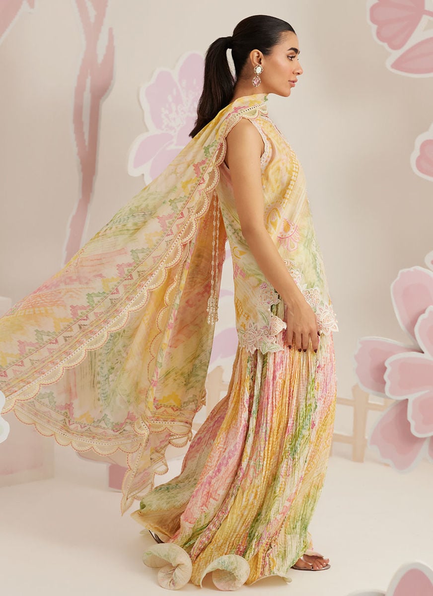 Elysia Shirt and Dupatta