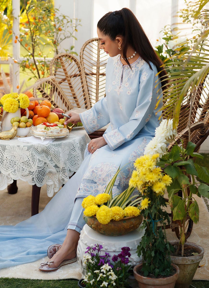Serena Shirt and Dupatta