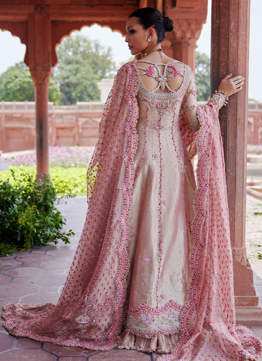 Evanna kalidaar and Crushed Lehenga