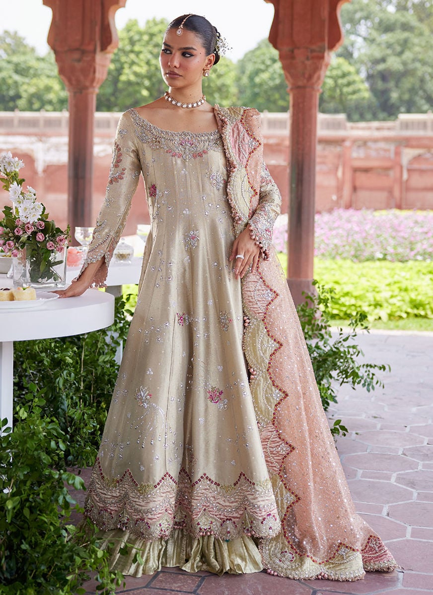 Helena kalidaar and Crushed Lehenga