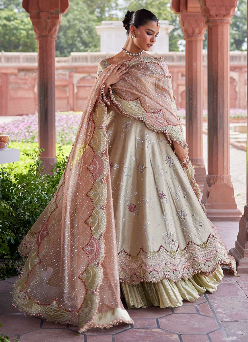 Helena kalidaar and Crushed Lehenga
