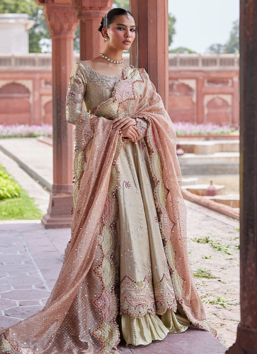 Helena kalidaar and Crushed Lehenga
