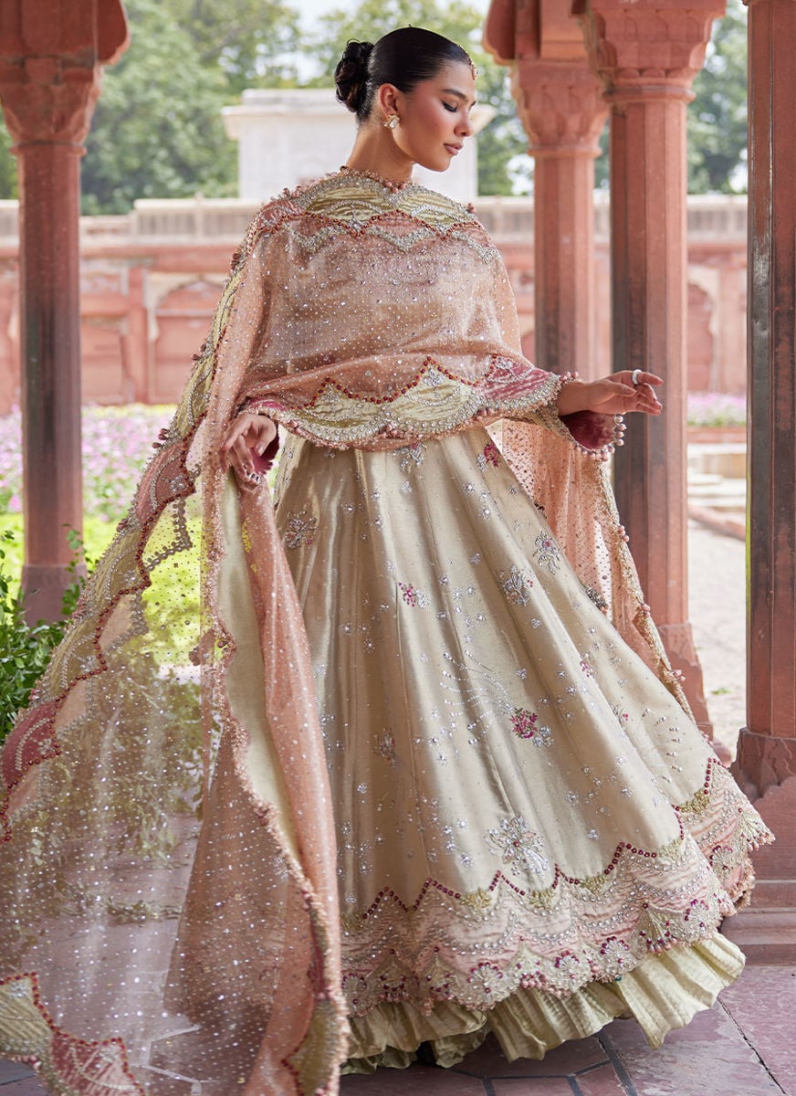 Helena kalidaar and Crushed Lehenga