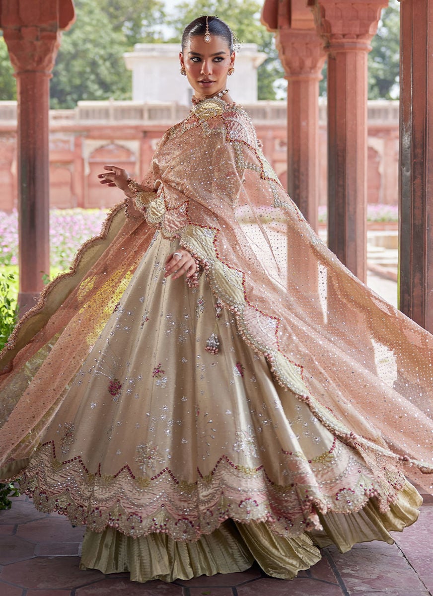 Helena kalidaar and Crushed Lehenga