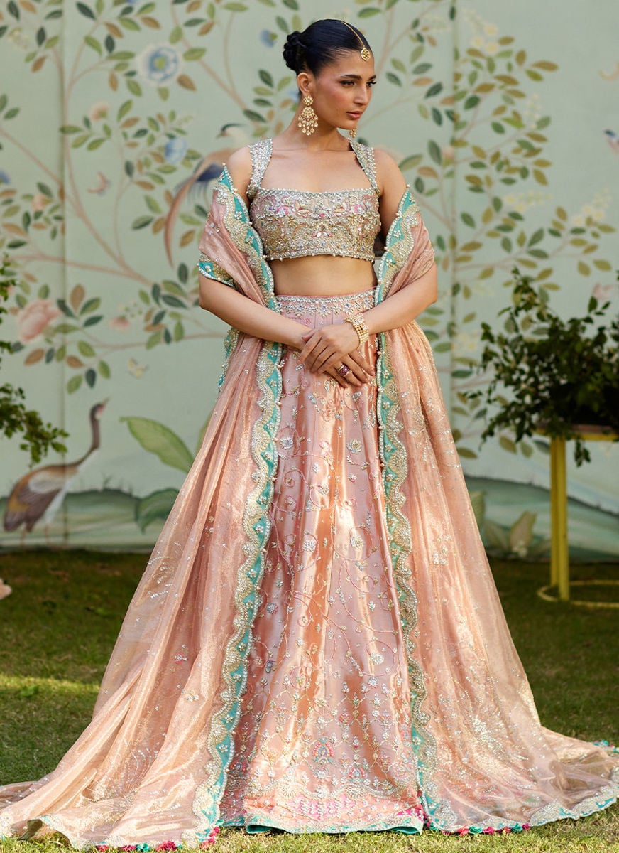 Leny Lehenga Choli
