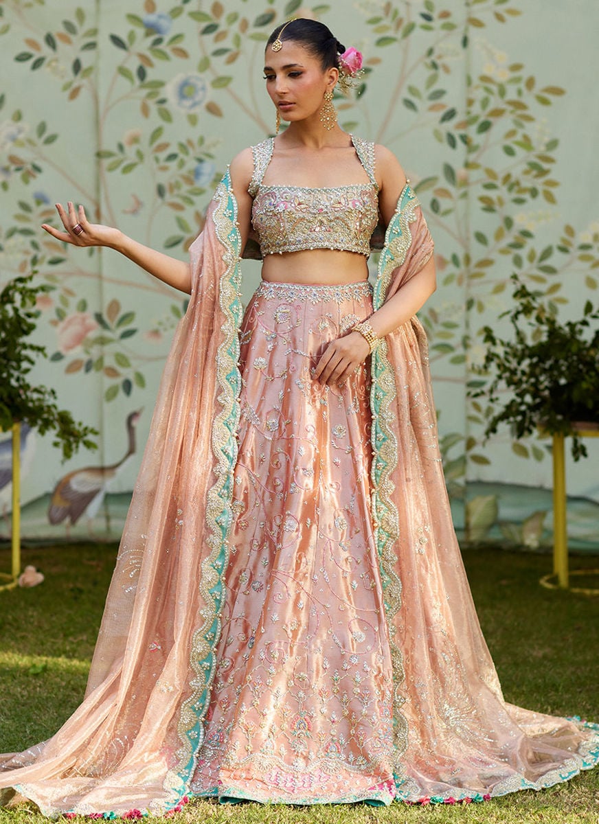 Leny Lehenga Choli