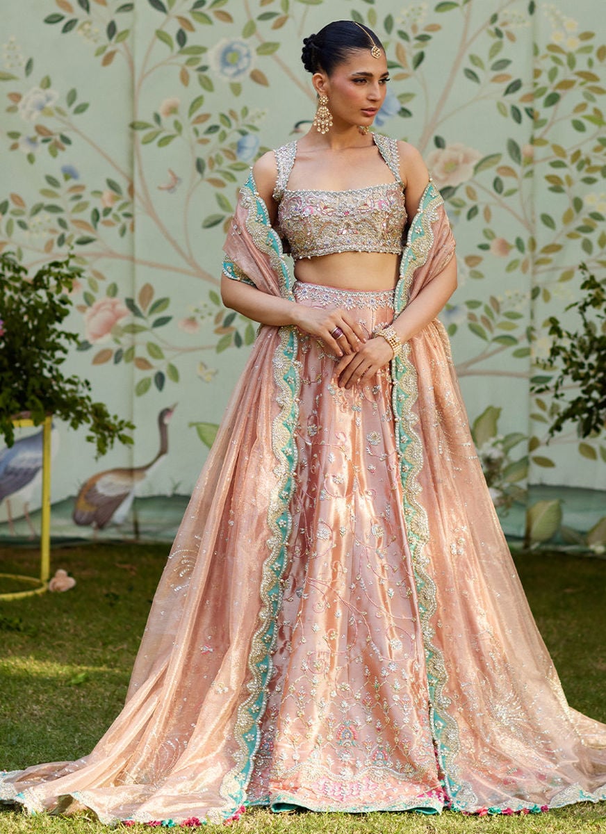 Leny Lehenga Choli