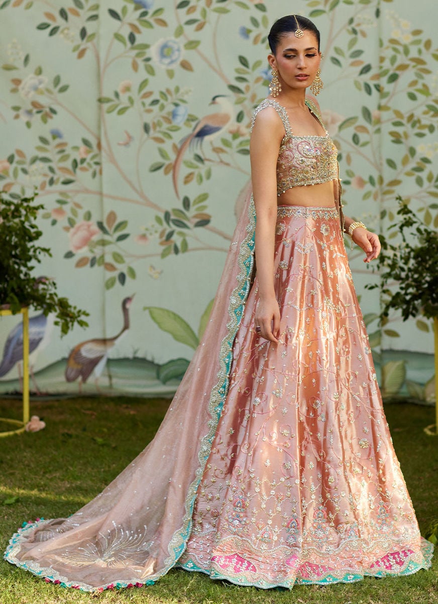 Leny Lehenga Choli