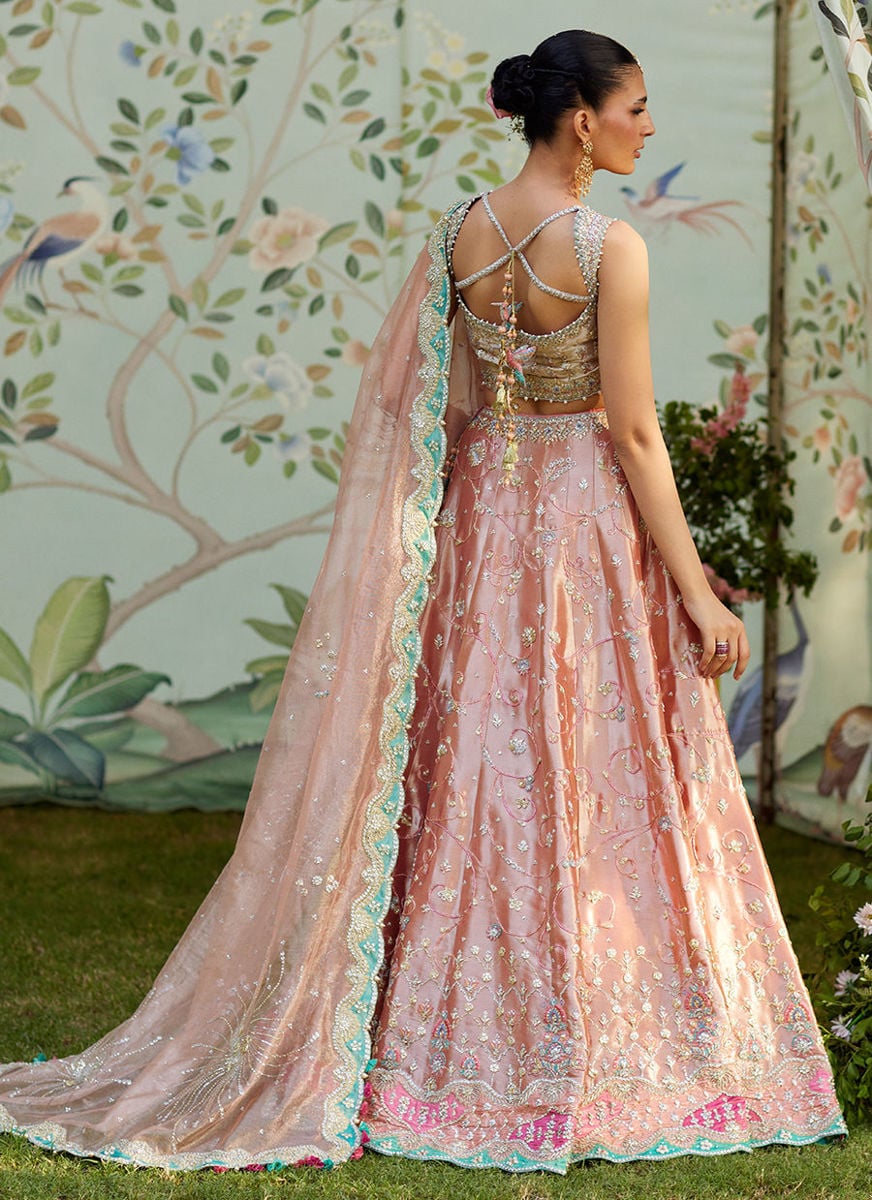 Leny Lehenga Choli