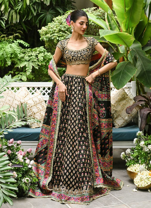Alanara Black Lehnga Choli