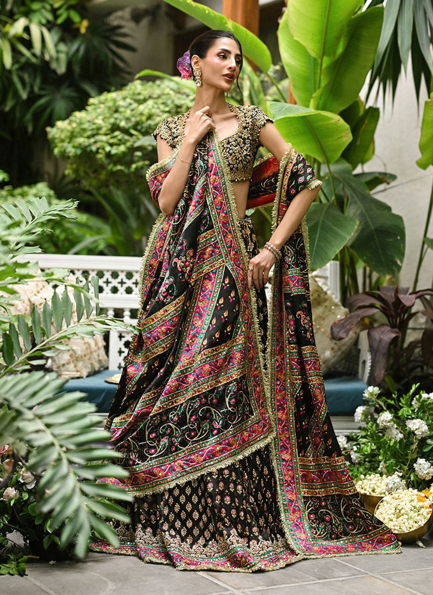 Alanara Black Lehnga Choli
