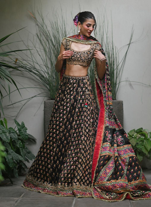 Alanara Black Lehnga Choli